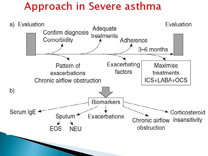 Approach in Severe asthma 