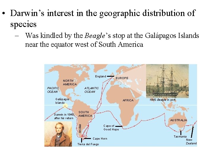  • Darwin’s interest in the geographic distribution of species – Was kindled by