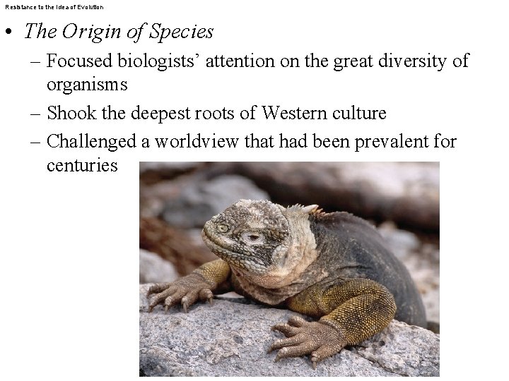 Resistance to the Idea of Evolution • The Origin of Species – Focused biologists’