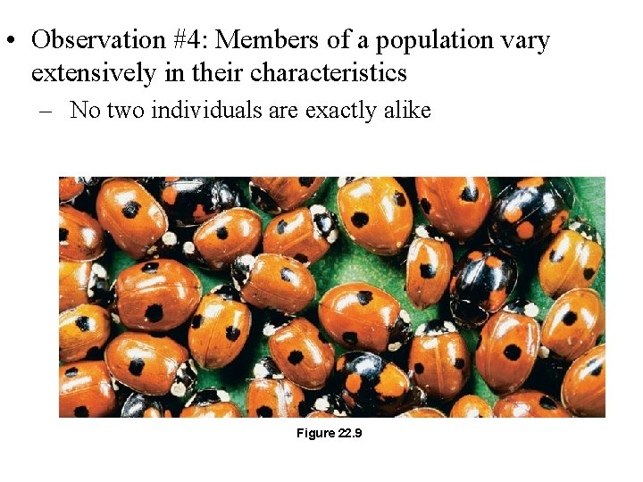  • Observation #4: Members of a population vary extensively in their characteristics –