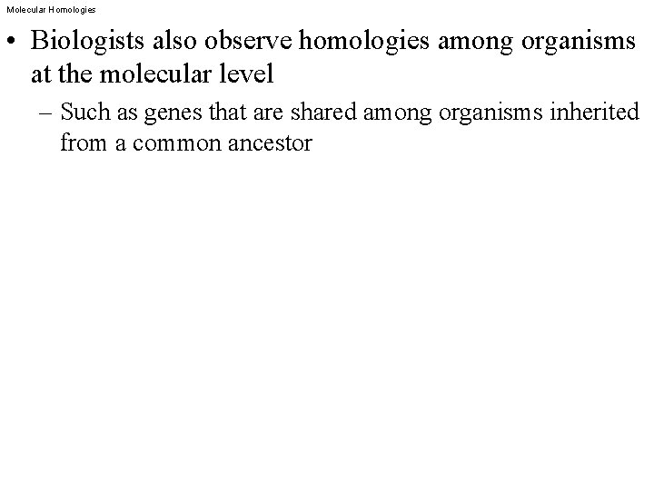 Molecular Homologies • Biologists also observe homologies among organisms at the molecular level –