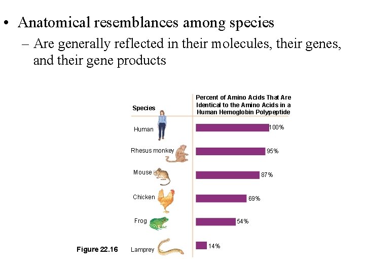  • Anatomical resemblances among species – Are generally reflected in their molecules, their