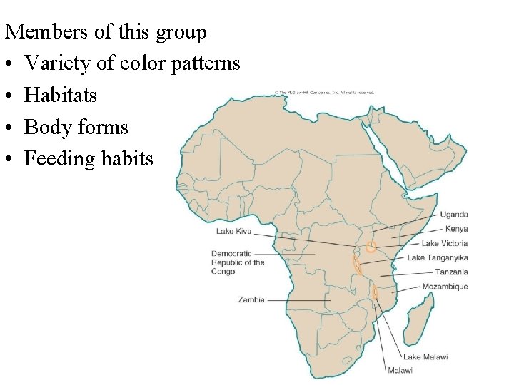 Members of this group • Variety of color patterns • Habitats • Body forms