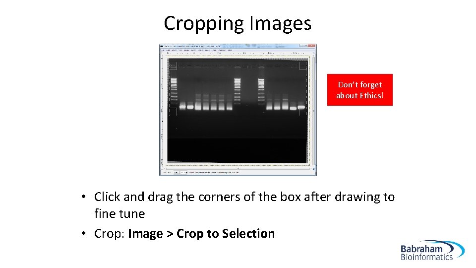 Cropping Images Don’t forget about Ethics! • Click and drag the corners of the