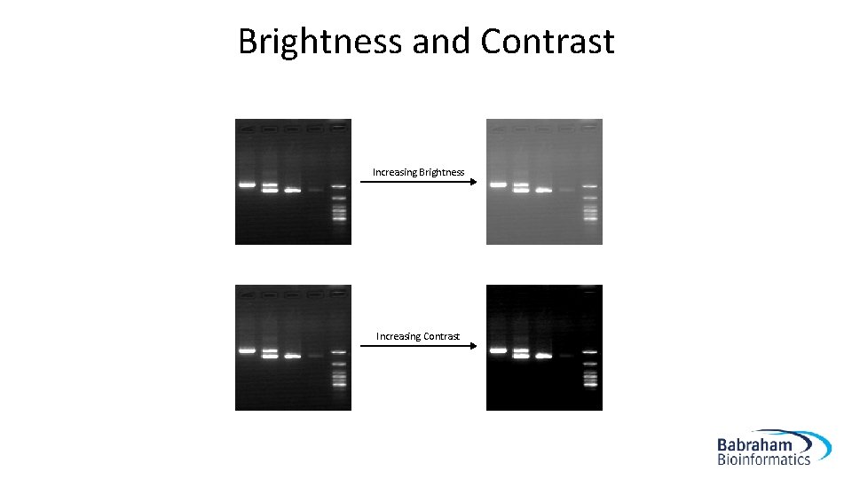 Brightness and Contrast Increasing Brightness Increasing Contrast 