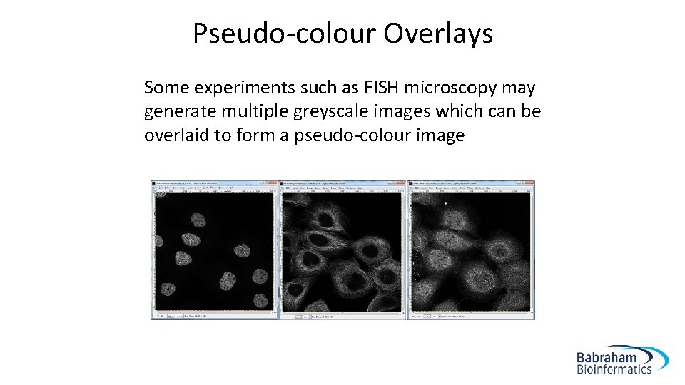 Pseudo-colour Overlays Some experiments such as FISH microscopy may generate multiple greyscale images which