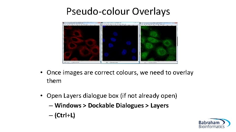 Pseudo-colour Overlays • Once images are correct colours, we need to overlay them •