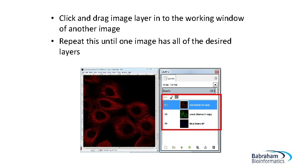  • Click and drag image layer in to the working window of another