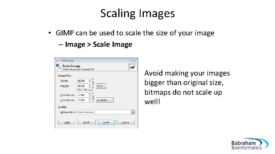 Scaling Images • GIMP can be used to scale the size of your image