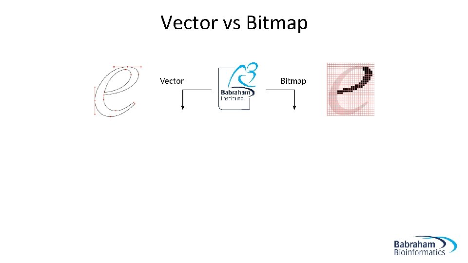 Vector vs Bitmap 