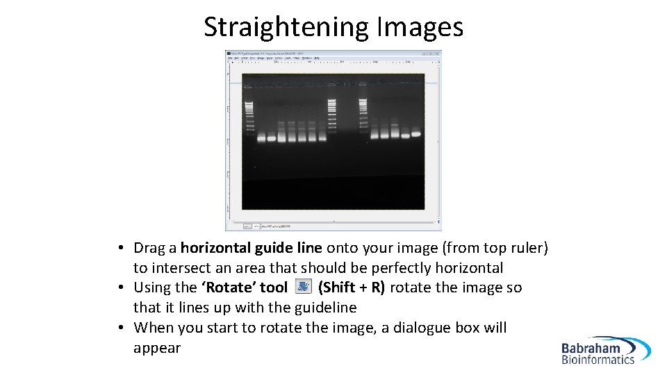 Straightening Images • Drag a horizontal guide line onto your image (from top ruler)