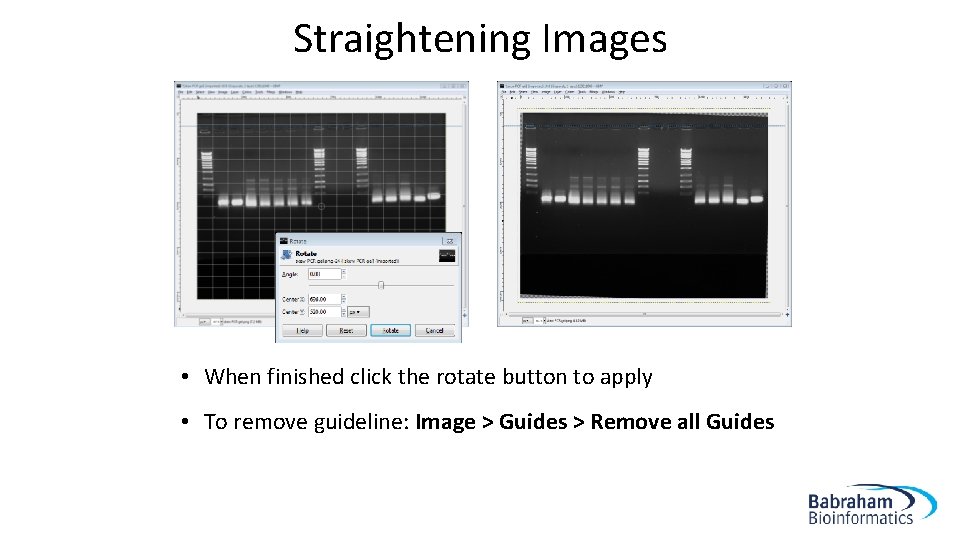 Straightening Images • When finished click the rotate button to apply • To remove
