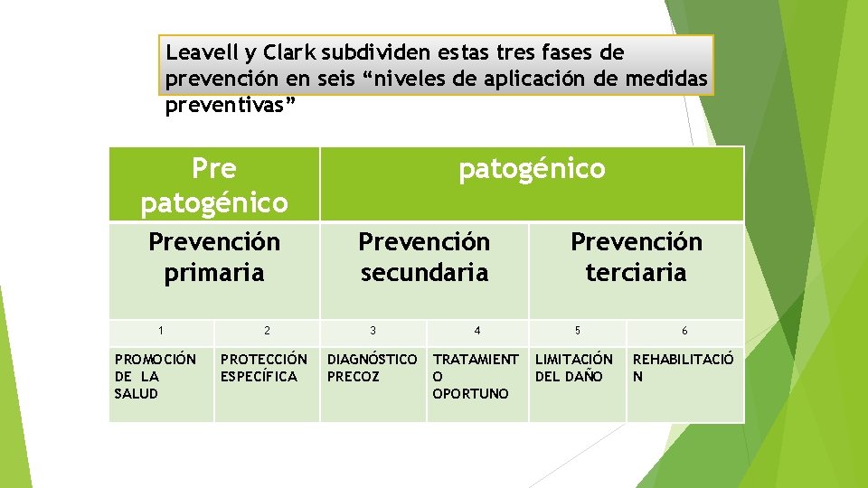 Leavell y Clark subdividen estas tres fases de prevención en seis “niveles de aplicación