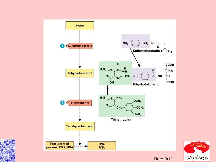 Figure 20. 13 