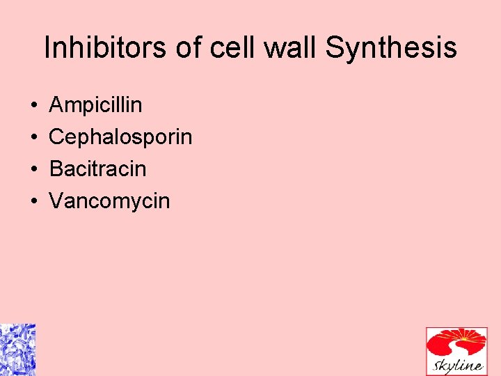 Inhibitors of cell wall Synthesis • • Ampicillin Cephalosporin Bacitracin Vancomycin 