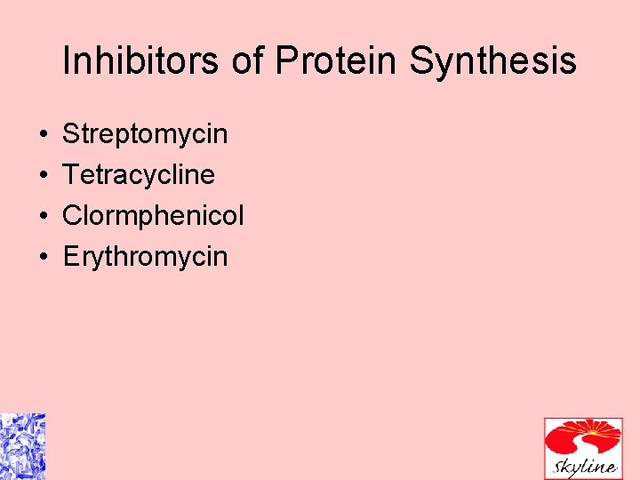 Inhibitors of Protein Synthesis • • Streptomycin Tetracycline Clormphenicol Erythromycin 