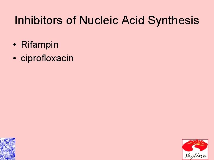 Inhibitors of Nucleic Acid Synthesis • Rifampin • ciprofloxacin 