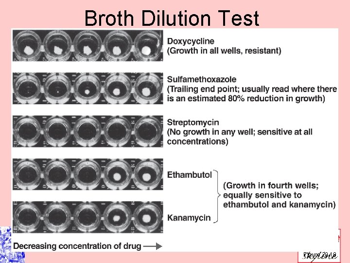 Broth Dilution Test Figure 20. 19 