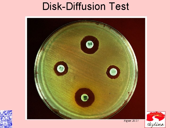 Disk-Diffusion Test Figure 20. 17 