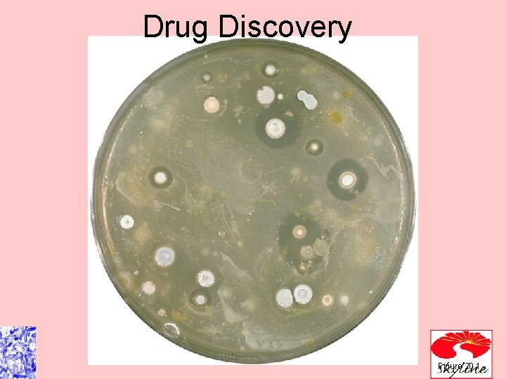 Drug Discovery Figure 20. 1 