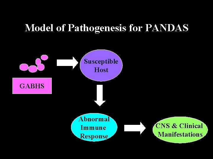 Model of Pathogenesis for PANDAS Susceptible Host GABHS Abnormal Immune Response CNS & Clinical