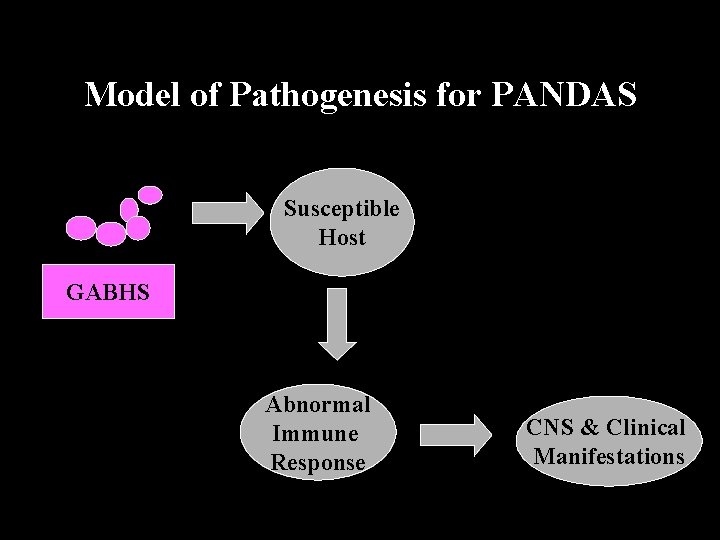 Model of Pathogenesis for PANDAS Susceptible Host GABHS Abnormal Immune Response CNS & Clinical