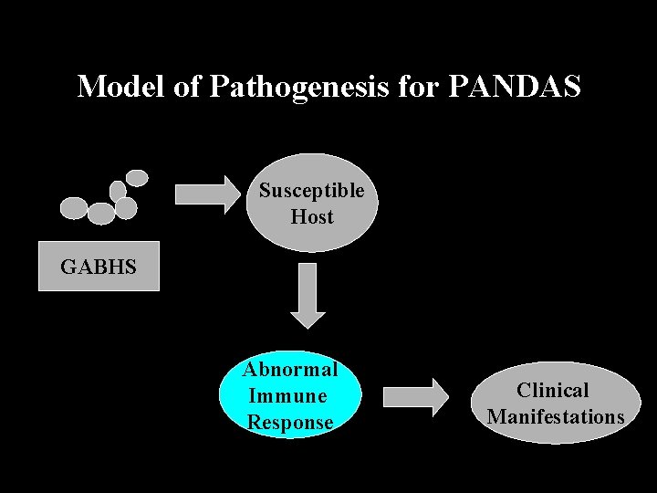 Model of Pathogenesis for PANDAS Susceptible Host GABHS Abnormal Immune Response Clinical Manifestations 