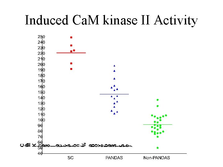 Induced Ca. M kinase II Activity 