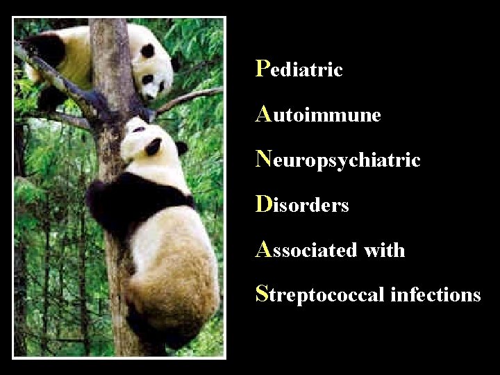 Pediatric Autoimmune Neuropsychiatric Disorders Associated with Streptococcal infections 