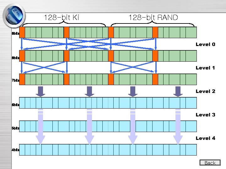 128 -bit Ki 128 -bit RAND 8 bits 7 bits 6 bits 5 bits 128 -bit Ki 128 -bit RAND 8 bits 7 bits 6 bits 5 bits