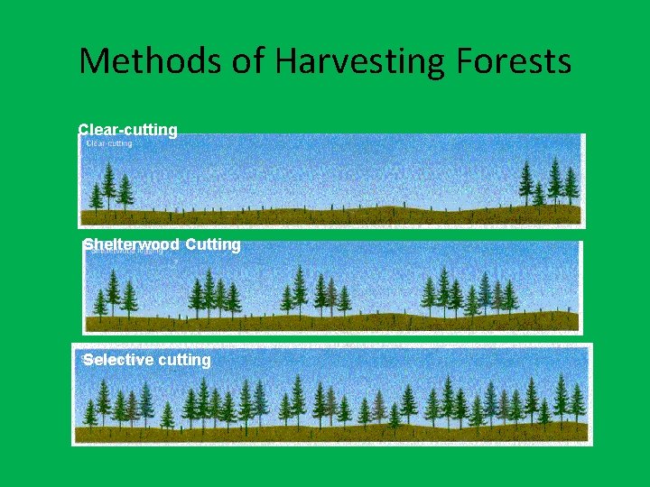 Methods of Harvesting Forests Clear-cutting Shelterwood Cutting Selective cutting 