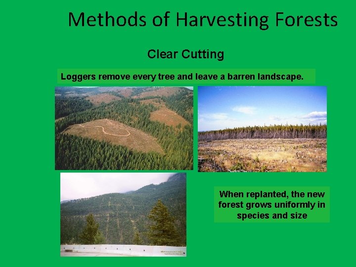 Methods of Harvesting Forests Clear Cutting Loggers remove every tree and leave a barren