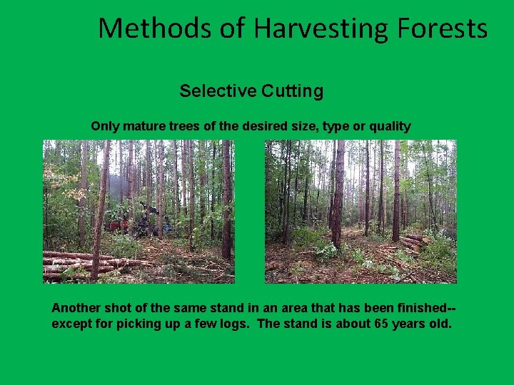 Methods of Harvesting Forests Selective Cutting Only mature trees of the desired size, type