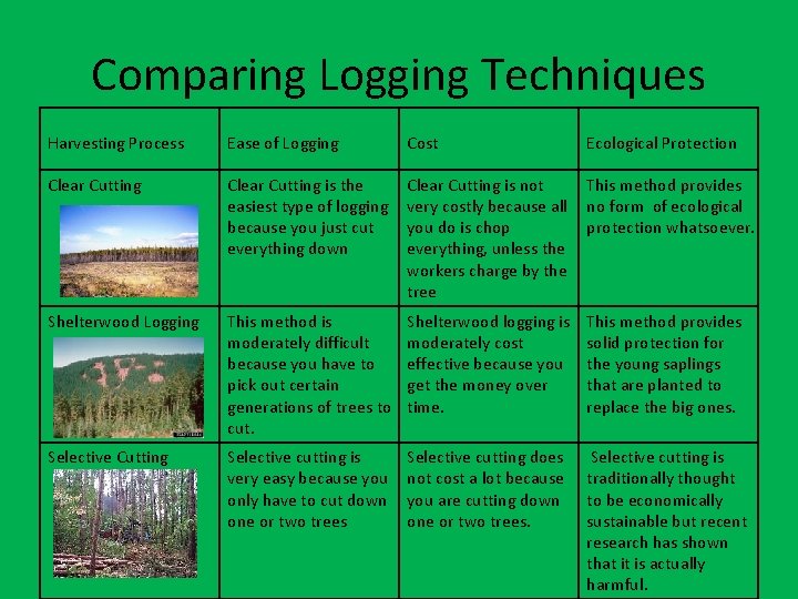 Comparing Logging Techniques Harvesting Process Ease of Logging Cost Ecological Protection Clear Cutting is