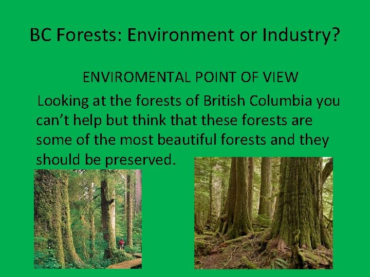 BC Forests: Environment or Industry? ENVIROMENTAL POINT OF VIEW Looking at the forests of