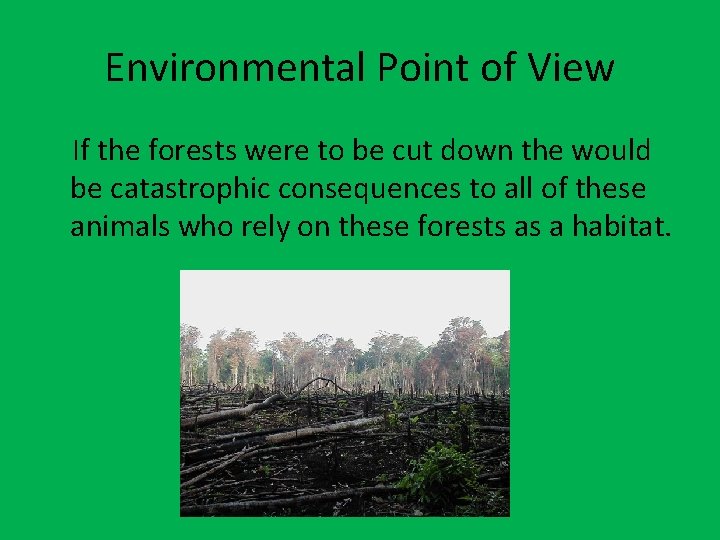 Environmental Point of View If the forests were to be cut down the would