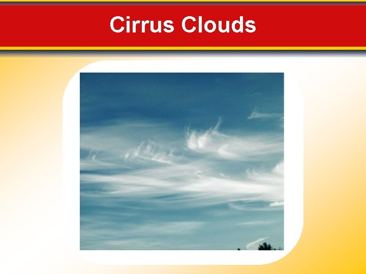 Cirrus Clouds 