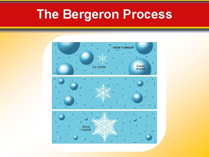 The Bergeron Process 