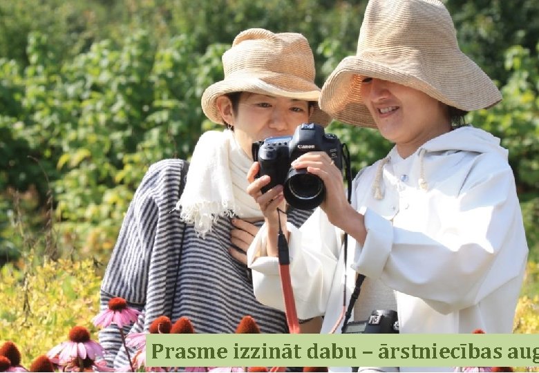 celotajs. lv Prasme izzināt dabu – ārstniecības aug 