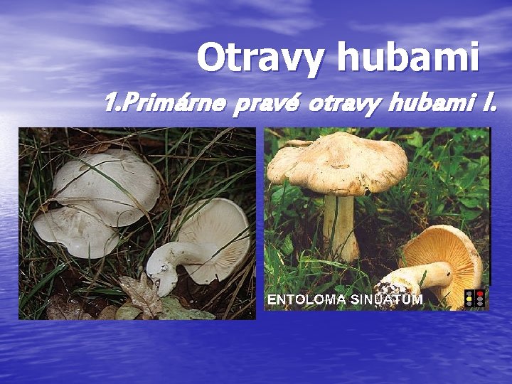 Otravy hubami 1. Primárne pravé otravy hubami I. typu 