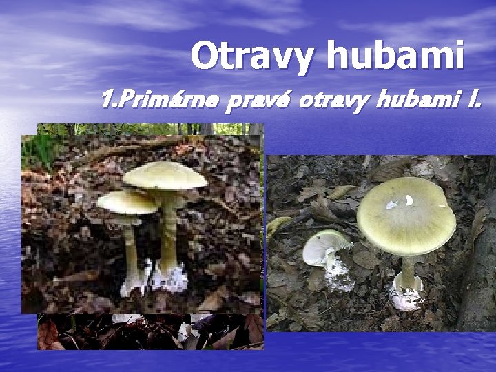 Otravy hubami 1. Primárne pravé otravy hubami I. typu 