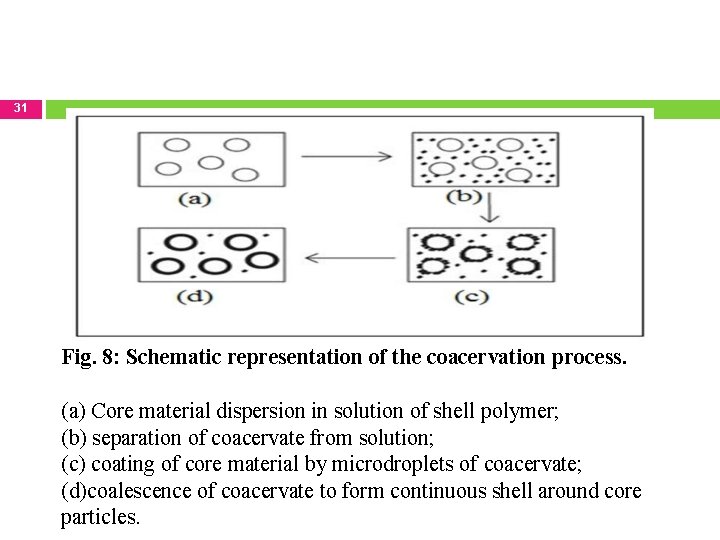 31 Fig. 8: Schematic representation of the coacervation process. (a) Core material dispersion in