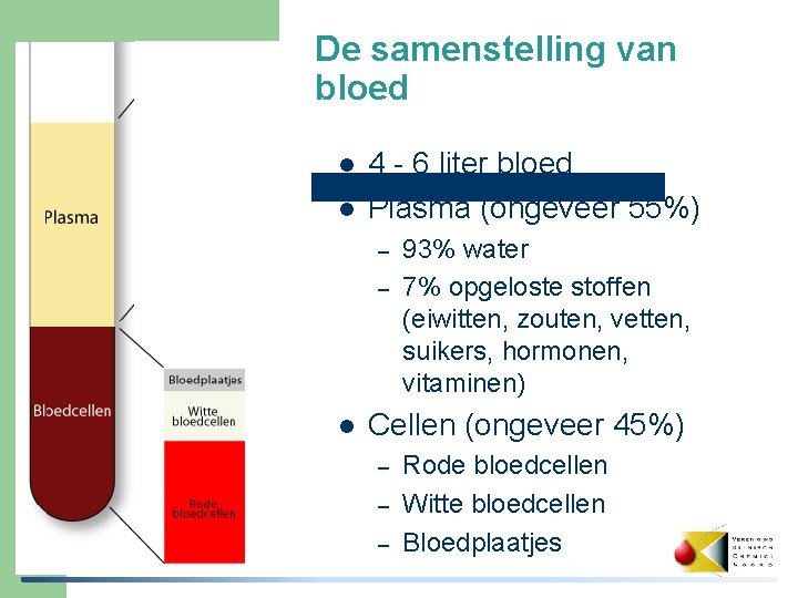 De samenstelling van bloed l l 4 - 6 liter bloed Plasma (ongeveer 55%)