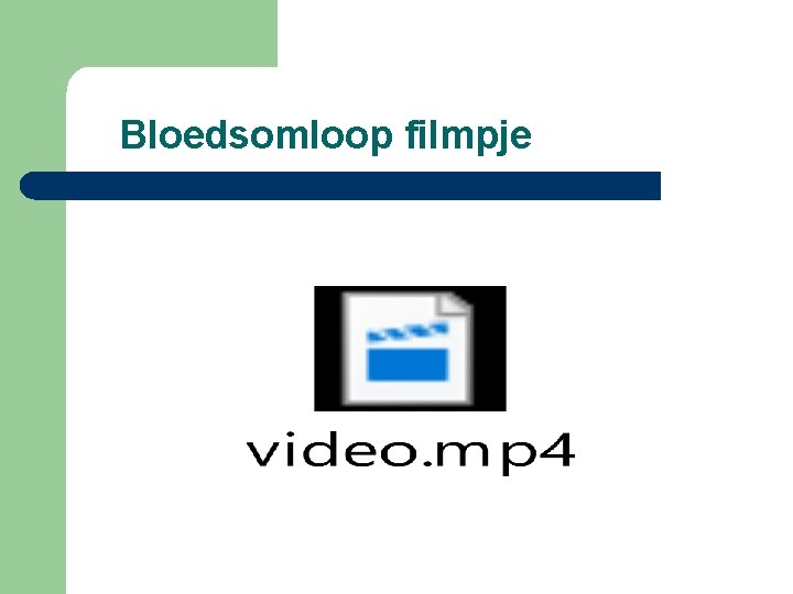 Bloedsomloop filmpje 