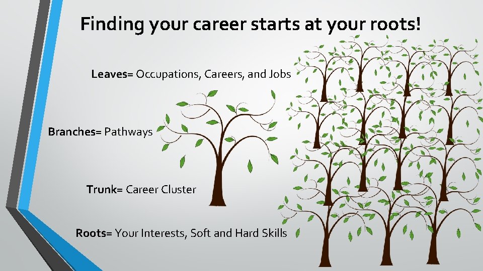Finding your career starts at your roots! Leaves= Occupations, Careers, and Jobs Branches= Pathways