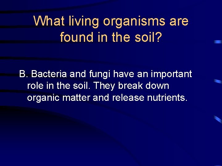 What living organisms are found in the soil? B. Bacteria and fungi have an