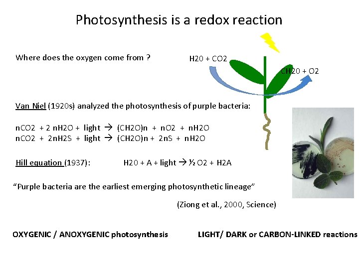 Photosynthesis is a redox reaction Where does the oxygen come from ? H 20