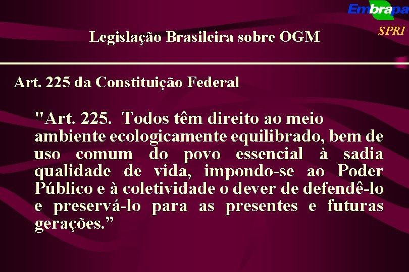 Legislação Brasileira sobre OGM SPRI Art. 225 da Constituição Federal "Art. 225. Todos têm