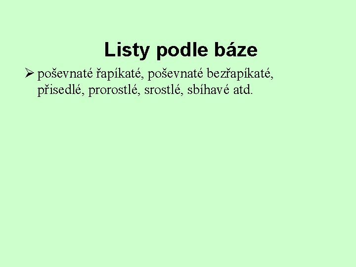 Listy podle báze Ø poševnaté řapíkaté, poševnaté bezřapíkaté, přisedlé, prorostlé, sbíhavé atd. 