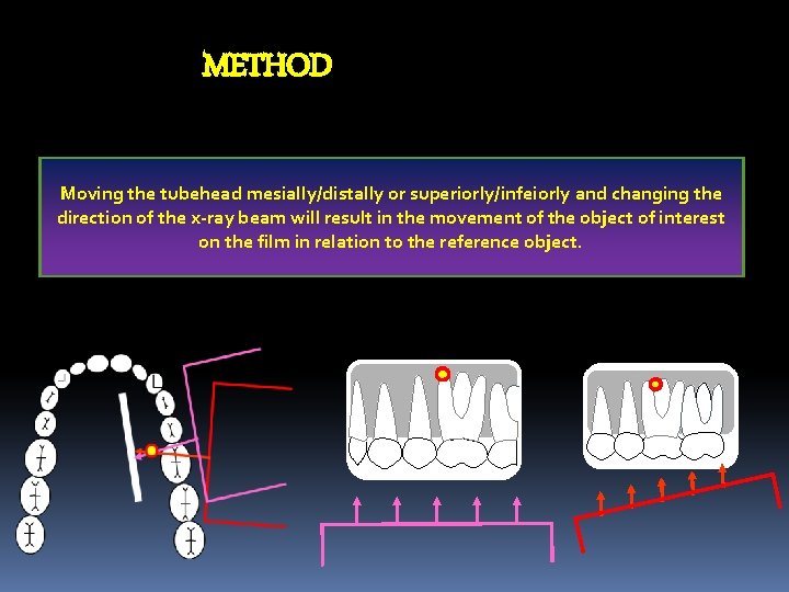 METHOD Moving the tubehead mesially/distally or superiorly/infeiorly and changing the direction of the x-ray